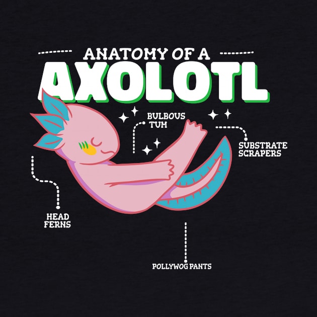 Anatomy of Axolotl by Artmoo